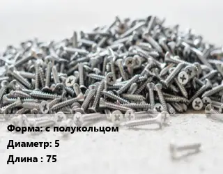 Шуруп с полукольцом 5х75